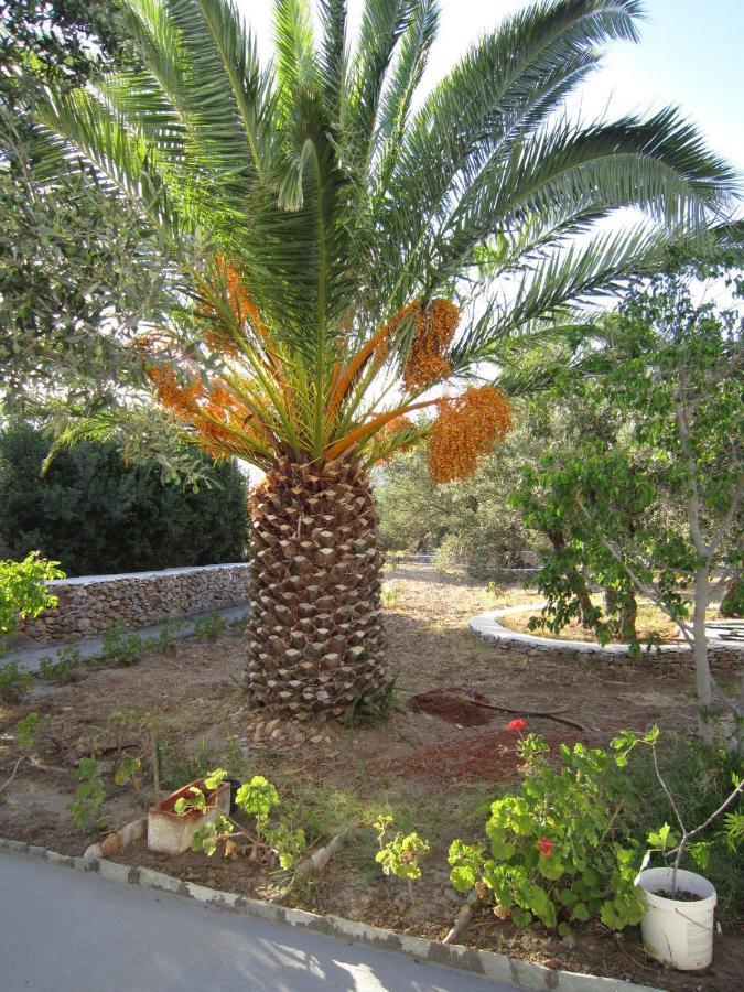 Elisso Villas Platis Gialos  Экстерьер фото