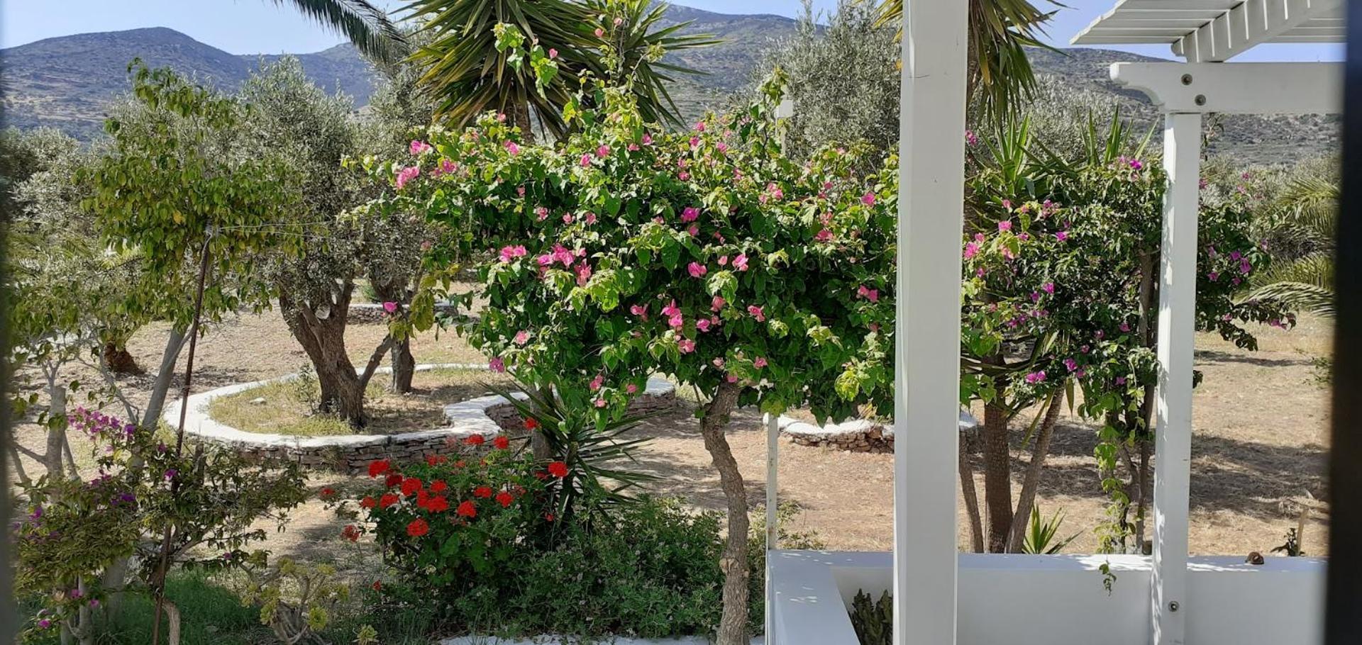 Elisso Villas Platis Gialos  Экстерьер фото