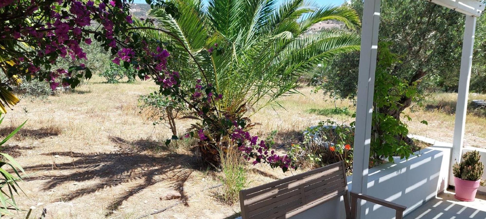Elisso Villas Platis Gialos  Экстерьер фото