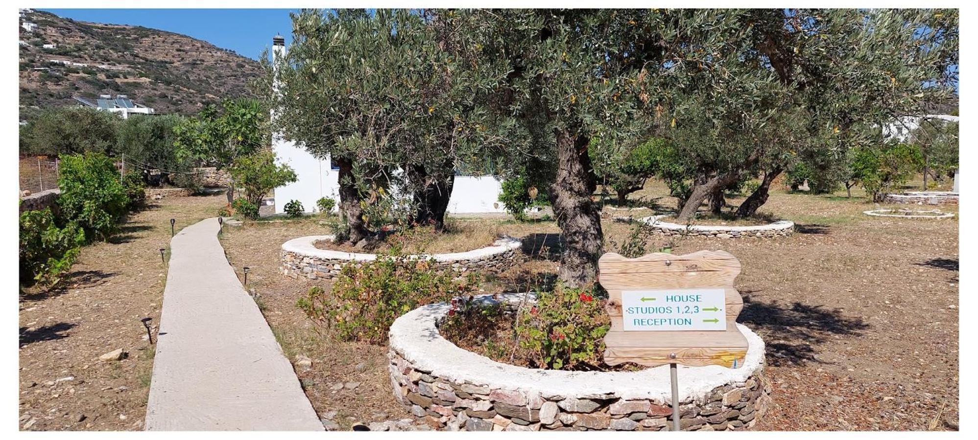 Elisso Villas Platis Gialos  Экстерьер фото
